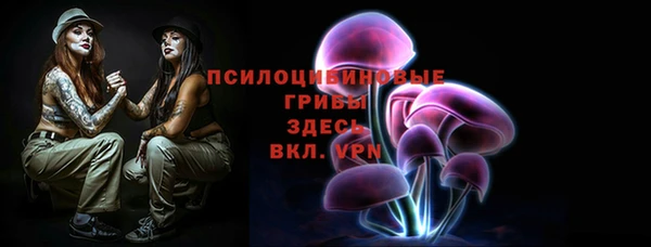 СК Нефтегорск